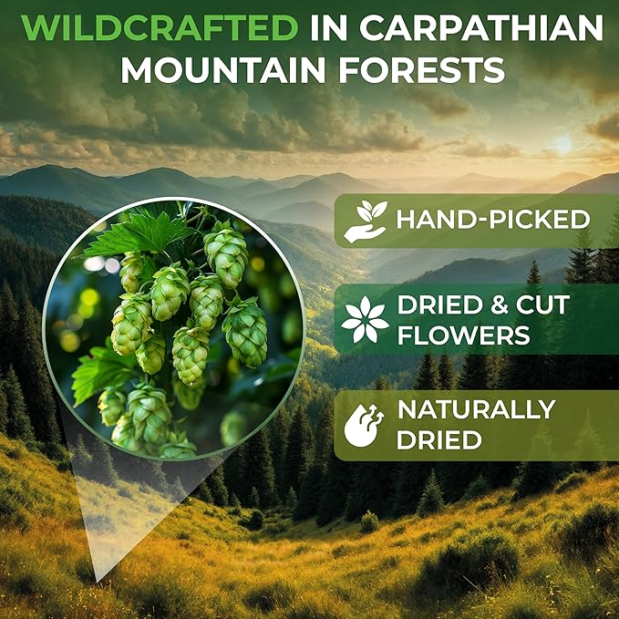 4 oz. Hops Herb Dried Tea Hops Flowers Herbal (Humulus Lupulus L.) - 113 Gramm Herb Tea Lupulo Entero