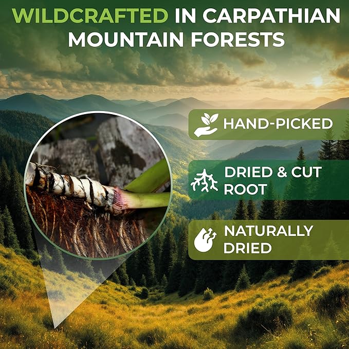 4 oz. Calamus Root Herbal Tea (Acorus Calamus) - 113g Calamus Herb Root Tea Raiz De Calamo