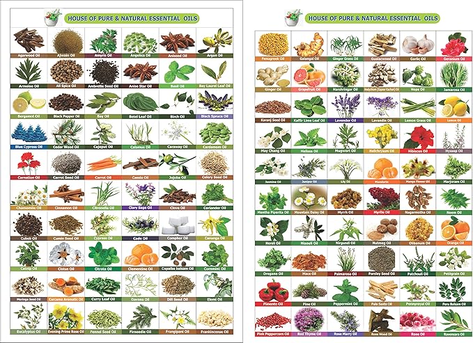 Salvia Bhringraj Oil (Eclipta alba) 100% Pure & Natural - Undiluted Uncut Cold Pressed Premium Oil Use for Aromatherapy, Skin Care & Hair - Therapeutic Grade (3.38 Fl Oz with dropper)