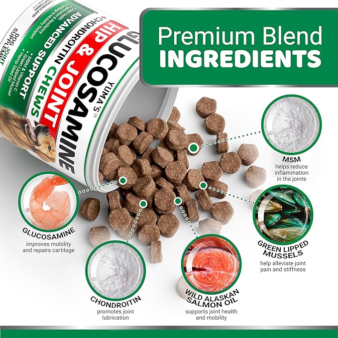 YUMA'S Glucosamine for Dogs - Hip and Joint Supplement for Dogs - 170 Ct - Glucosamine Chondroitin Chews - Joint Pain Relief Supplement with MSM - Advanced Health - Mobility Support - Made in USA