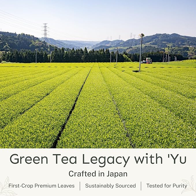 Yu Tea Organic Ceremonial Grade Matcha Powder, Instant Packets | Packed with Antioxidants, L-Theanine & Natural Caffeine | Unsweetened Grade A Japanese Matcha Powder | Single Serve Sticks, 30 Ct