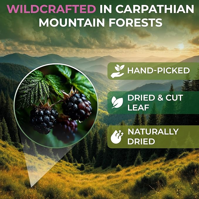 4 oz. Blackberry Leaf Herbal Tea (Rubus fruticosus) – 113g Dried Blackberry Leaf Tea Hojas de Zarzamora