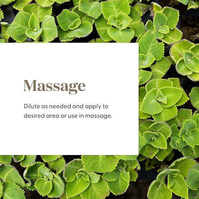 Young Living Essential Oil Blend | Refreshing & Soothing Aroma | 100% Pure Essential Oil for Home, Work, & Personal Use | Cool Azul | 15 ml