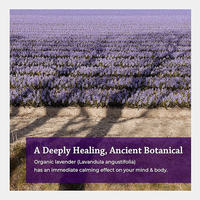 Silk Road Organic Lavender Essential Oil Roll On, USDA Certified, Calming, Relaxation & Sleep - 10 ml Aromatherapy Roller