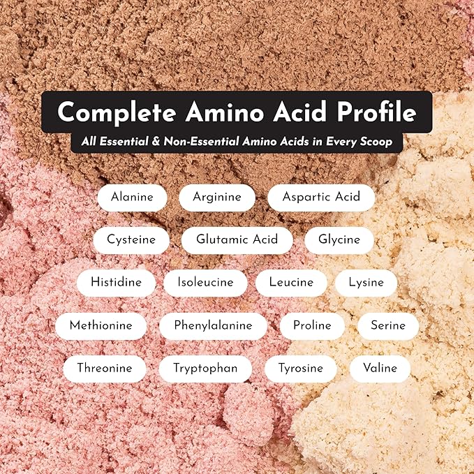 JUST INGREDIENTS Creamy Peanut Butter Chocolate Protein Powder – 30-ServingBlend with Grass-Fed Whey, Pea, Pumpkin Seed, Chia & Collagen – No Sugar Added – No Gums 24g Protein