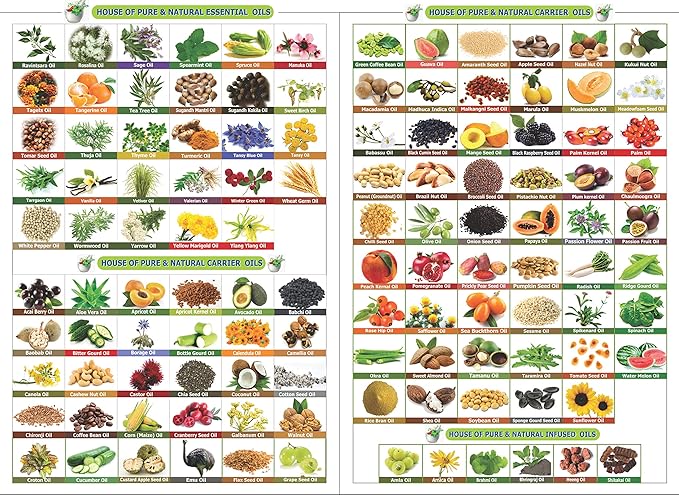 Yarrow Essential Oil (Achillea millefolium) 100% Pure & Natural - Undiluted Uncut Premium Oil -Therapeutic Grade- Use for Aromatherapy (50 ML)