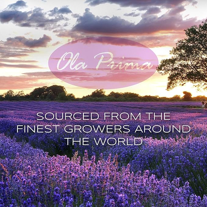 Ola Prima Rosemary Essential Oil - Pure Rosemary Oil (8 Fluid Ounces)